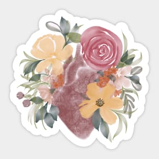 Anatomy of Heart in watercolor with florals Sticker